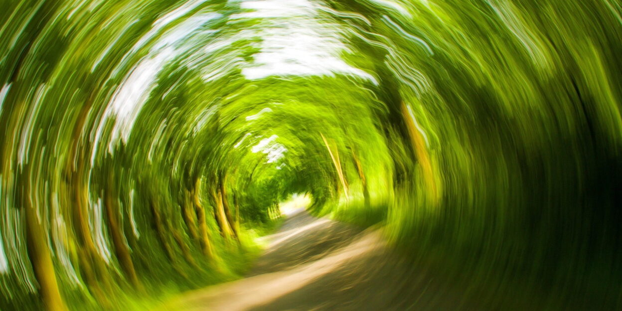 Blick durch eine Baumallee, durch Drehunschärfe verwischt – Sinnbild für Schwindelgefühl